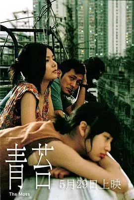 《青苔》：看了与辛格一家共度圣诞节，再回头看《青苔》，才明白什么叫真正的‘平凡’！