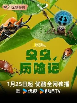 《虫虫历险记》：画面美到窒息！这才是真正的余光珍爱！